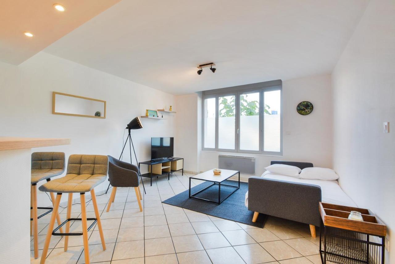 Les Cosy De Nancy La Taniere De La Porte Verte 4Etoiles Buitenkant foto