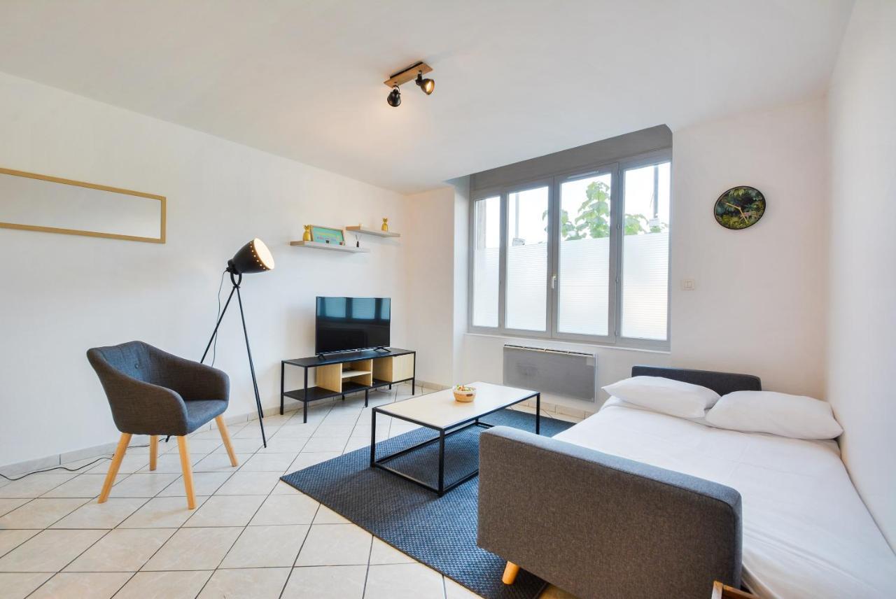 Les Cosy De Nancy La Taniere De La Porte Verte 4Etoiles Buitenkant foto